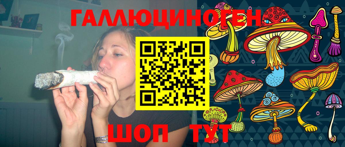 Богданович  Галлюциногенные грибы GOLDEN TEACHER  Вход с VPN 