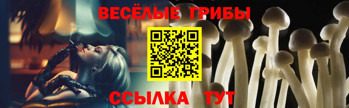Галлюциногенные грибы прущие грибы Богданович